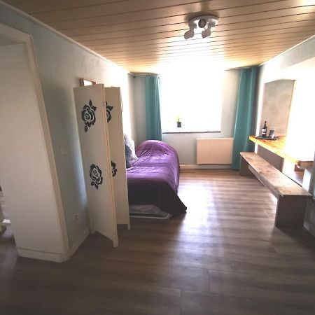 Mooi Ruim Appartement In Antieke Stadsboerderij Schönecken Dış mekan fotoğraf