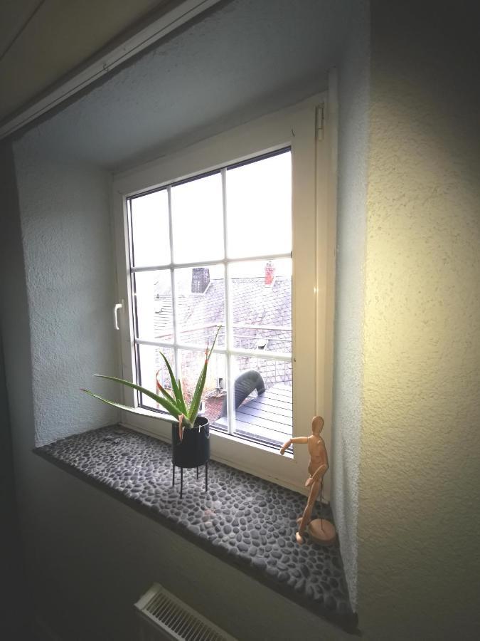 Mooi Ruim Appartement In Antieke Stadsboerderij Schönecken Dış mekan fotoğraf