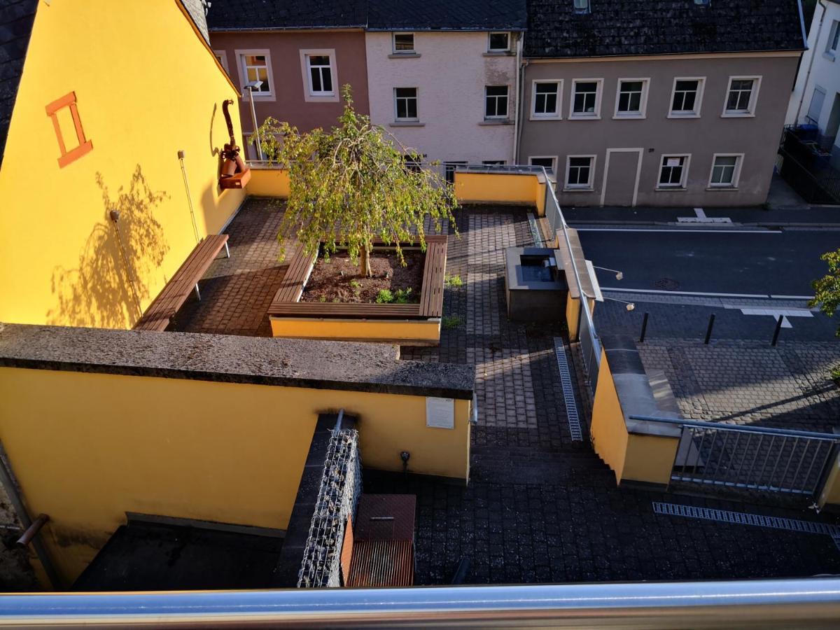 Mooi Ruim Appartement In Antieke Stadsboerderij Schönecken Dış mekan fotoğraf
