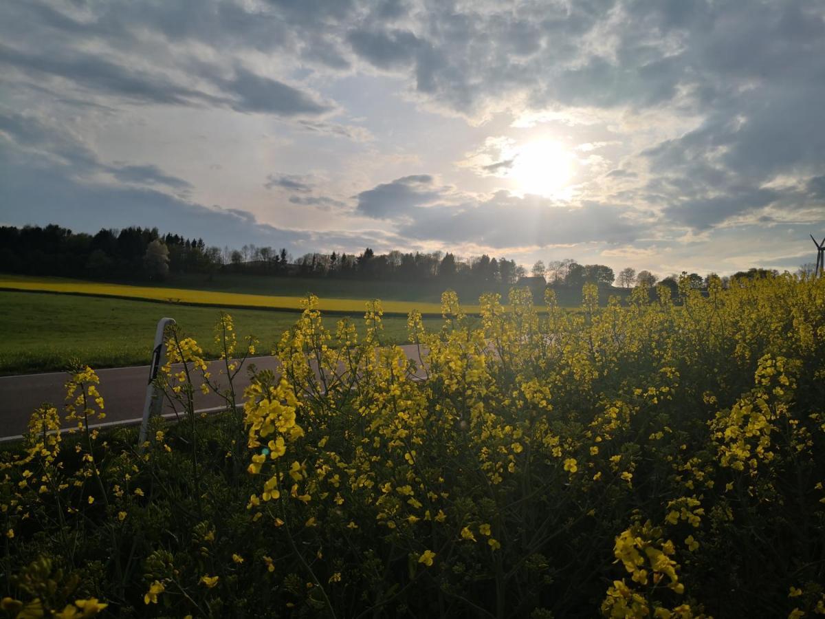 Mooi Ruim Appartement In Antieke Stadsboerderij Schönecken Dış mekan fotoğraf