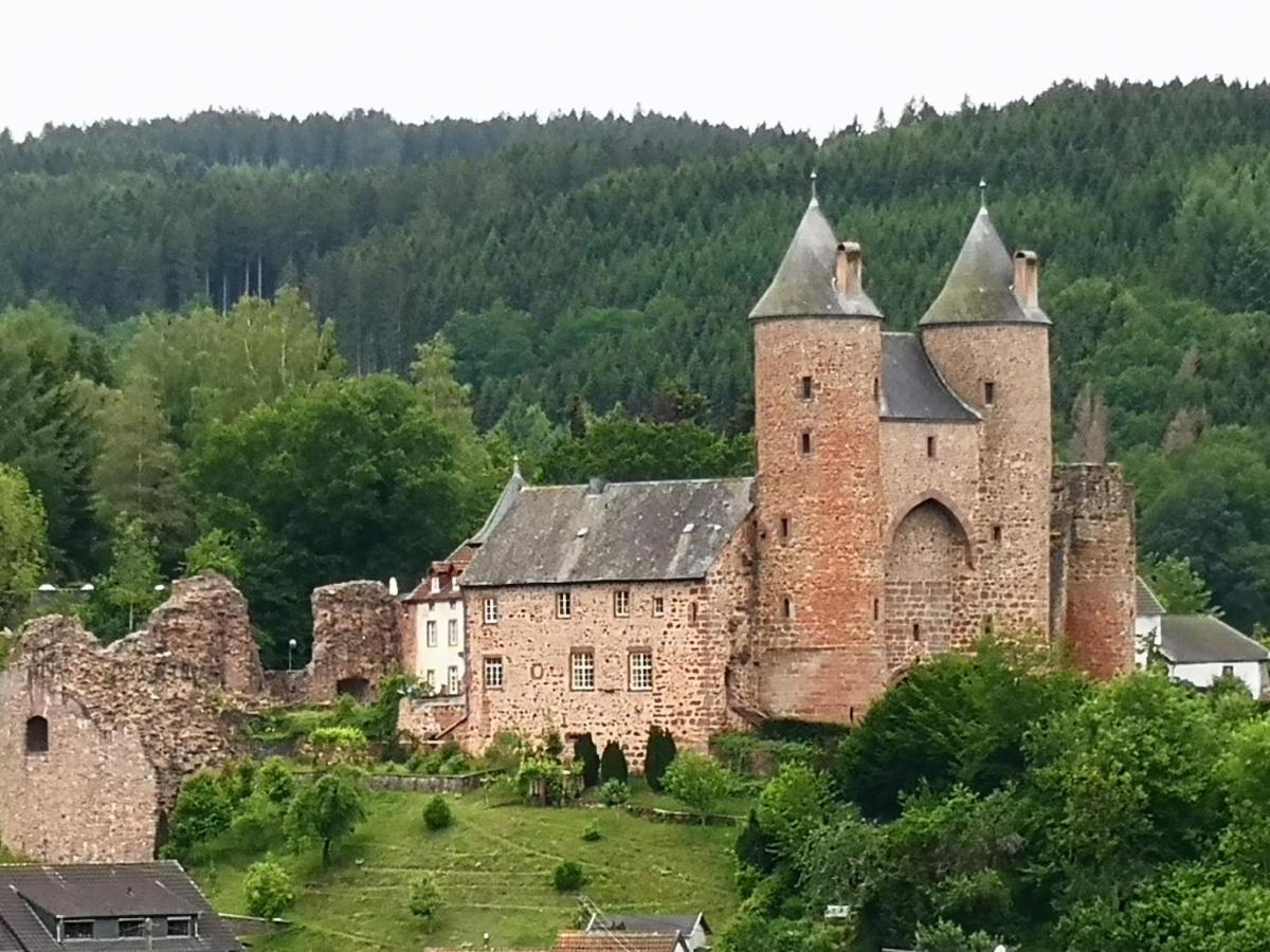 Mooi Ruim Appartement In Antieke Stadsboerderij Schönecken Dış mekan fotoğraf