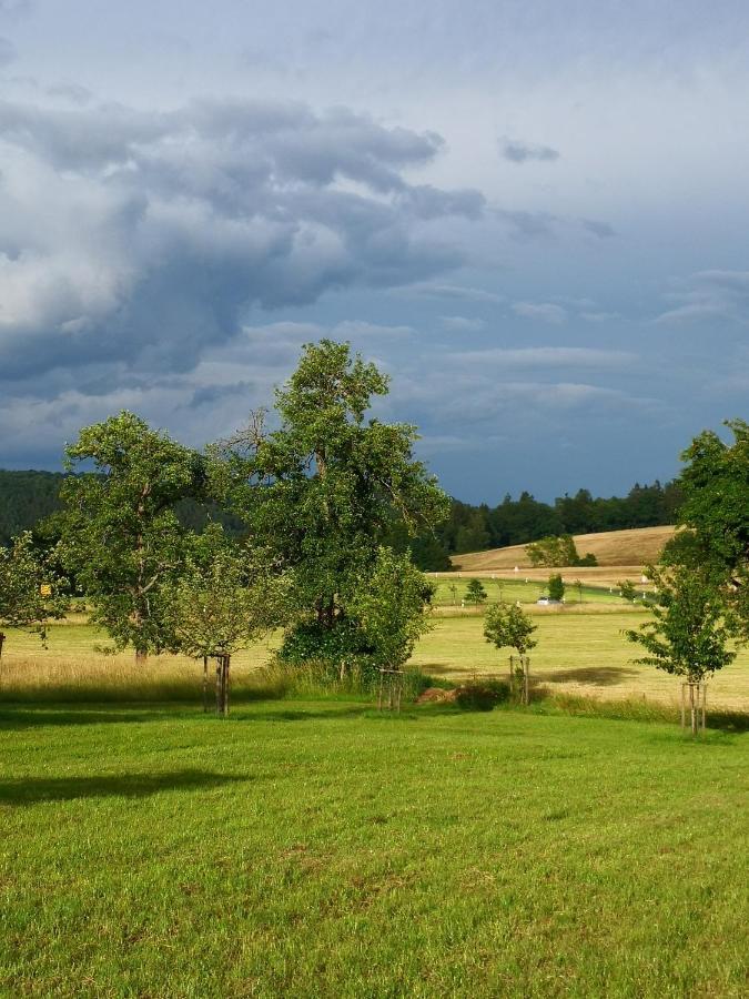 Mooi Ruim Appartement In Antieke Stadsboerderij Schönecken Dış mekan fotoğraf