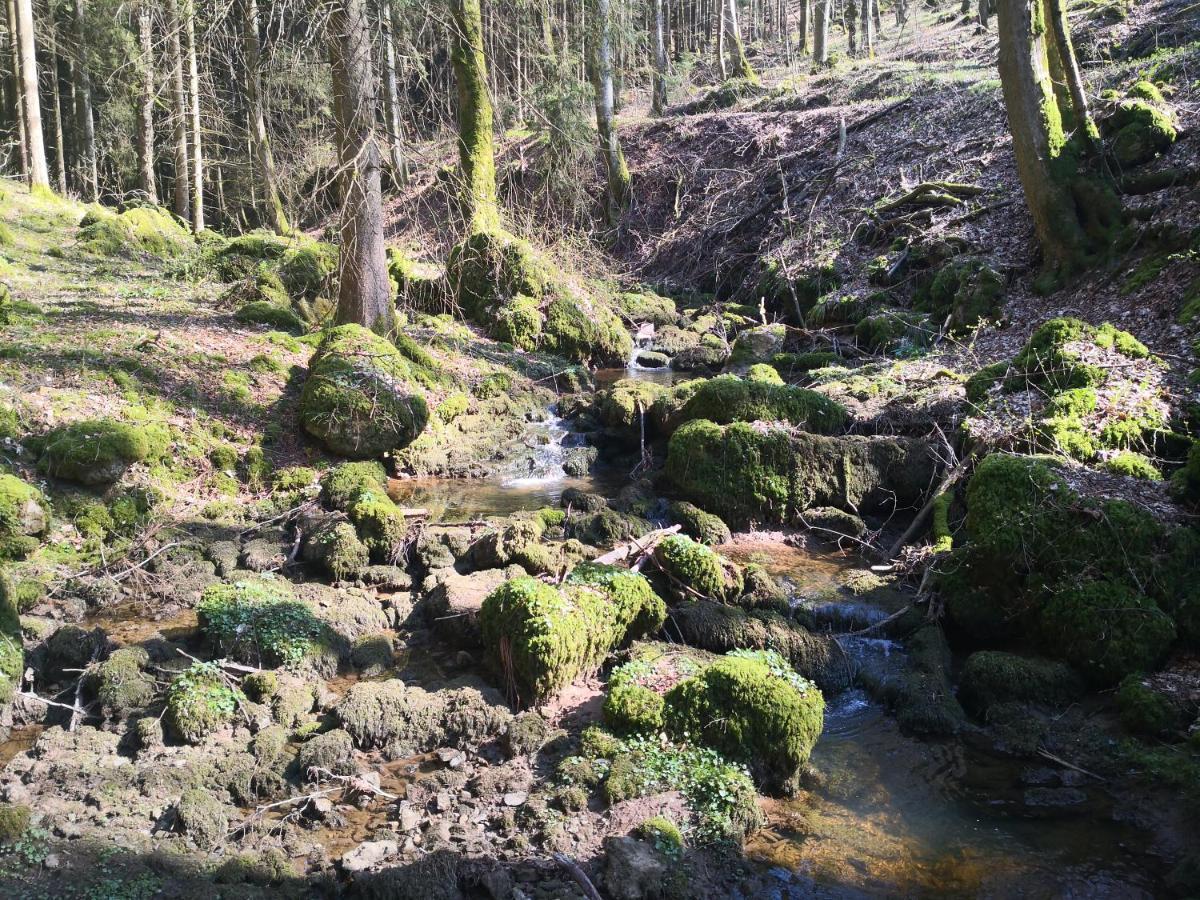 Mooi Ruim Appartement In Antieke Stadsboerderij Schönecken Dış mekan fotoğraf