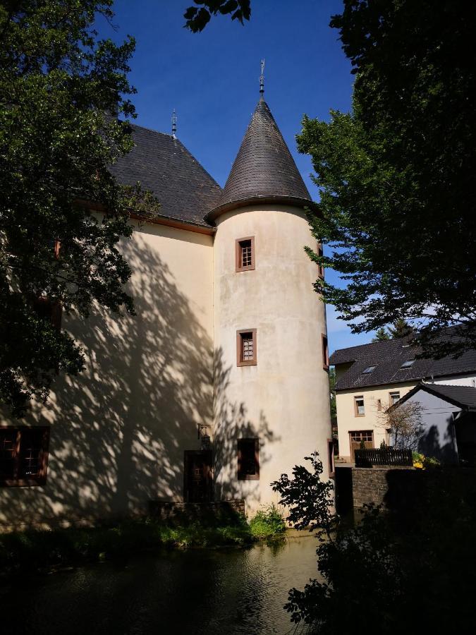 Mooi Ruim Appartement In Antieke Stadsboerderij Schönecken Dış mekan fotoğraf